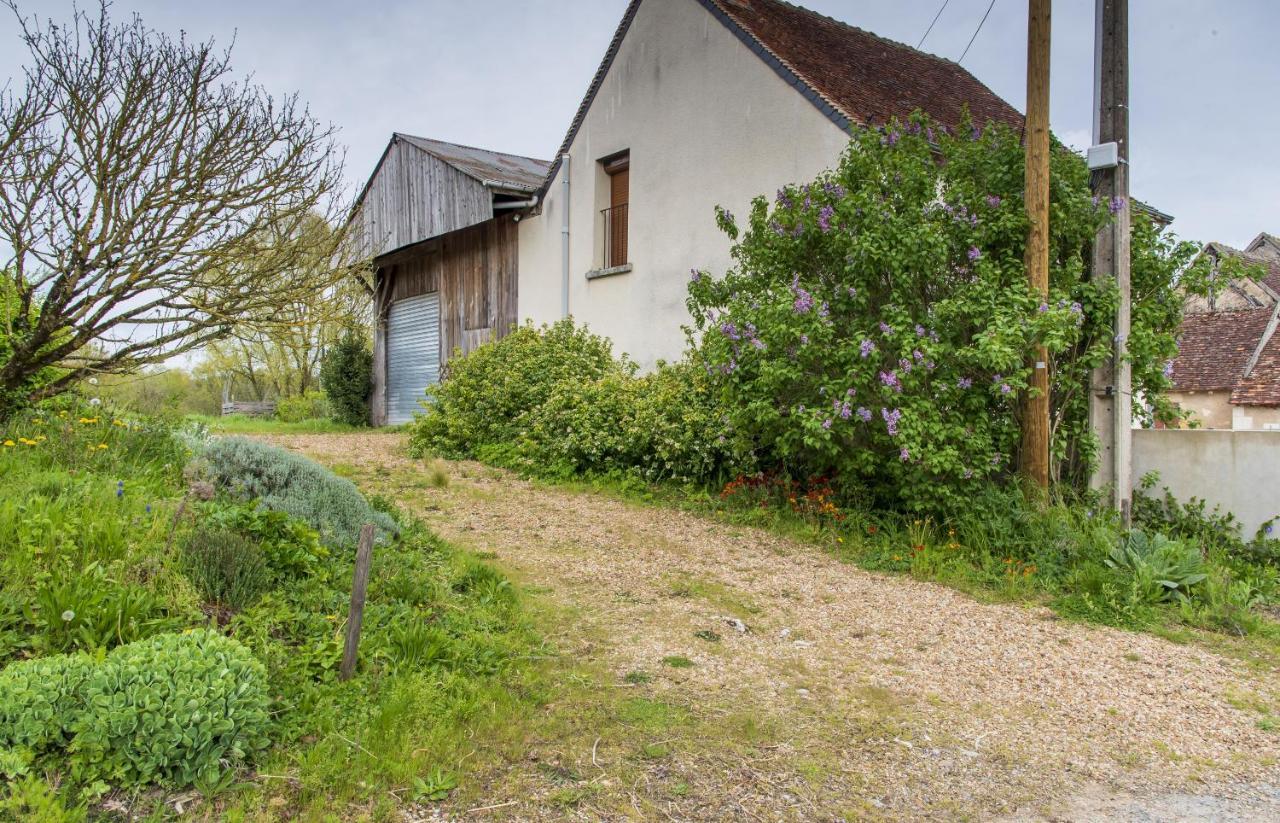 Le Beverly A 9 Min De Beauval Chateauvieux  Экстерьер фото